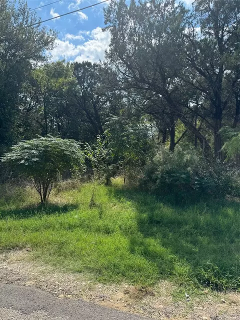 3608 Raintree Trl, Granbury, TX 76048