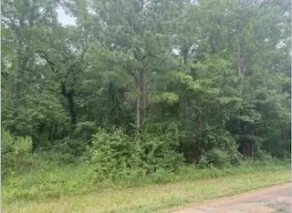 0000 Manning Rd, Elysian Fields, TX 75642