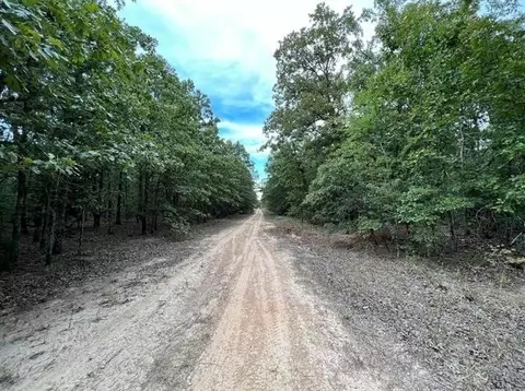 lot3 Christine St, Blossom, TX 75416