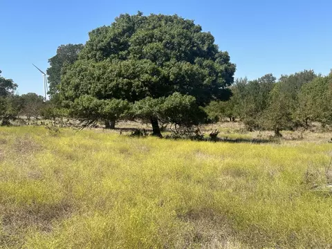 688 E Fm 572, Goldthwaite, TX 76844