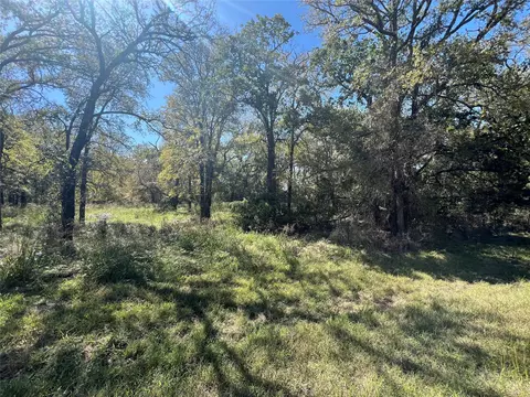 1350 Sandrock Trl, Whitney, TX 76692