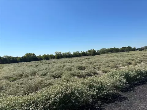 lot29 Willow Rd, Celeste, TX 75423 photo 13