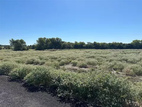 lot29 Willow Rd, Celeste, TX 75423 photo 8