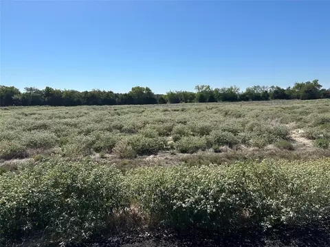lot29 Willow Rd, Celeste, TX 75423 photo 9