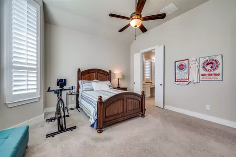 1709 Snowdrop Dr, Prosper, TX 75078 photo 15