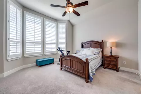 1709 Snowdrop Dr, Prosper, TX 75078 photo 14