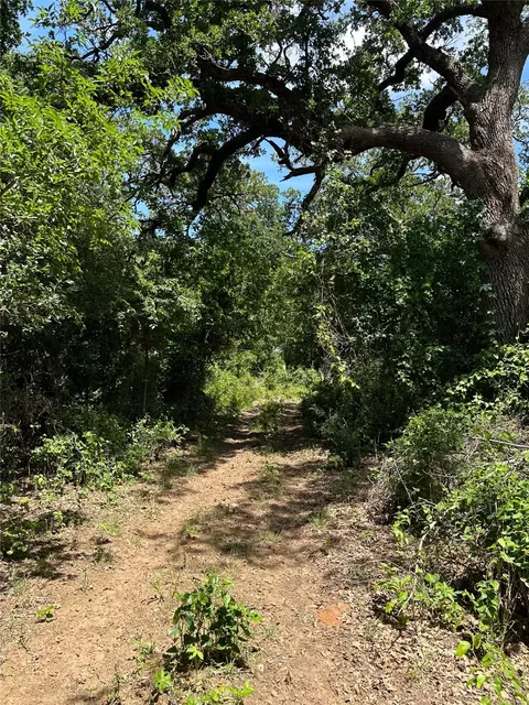 970 Cr 152, Comanche, TX 76442 photo 8