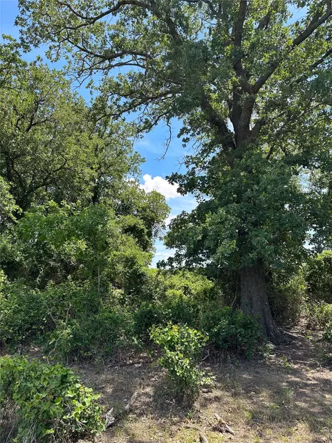 970 Cr 152, Comanche, TX 76442 photo 2
