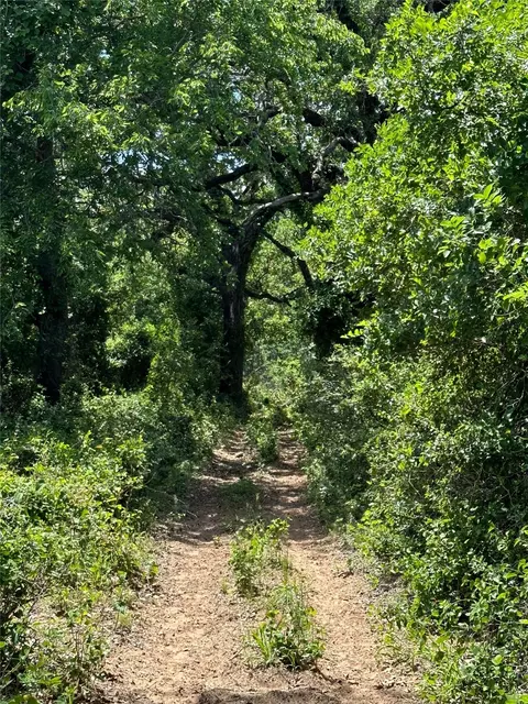 970 Cr 152, Comanche, TX 76442 photo 10