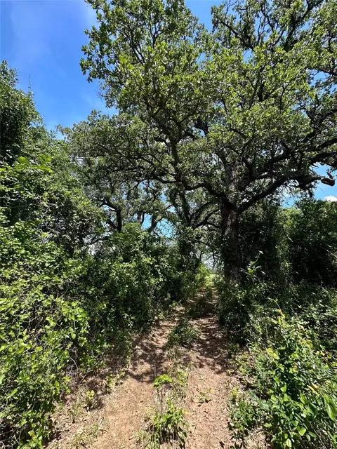 970 Cr 152, Comanche, TX 76442 photo 9