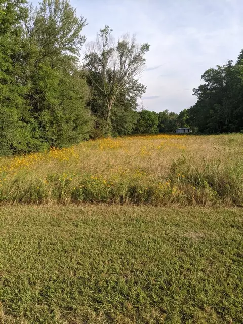 tbd Birdsong, Trinidad, TX 75163