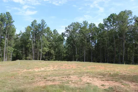314 Wilderness Trl, Minden, LA 71055 photo 3