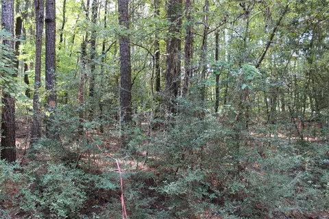 314 Wilderness Trl, Minden, LA 71055 photo 31