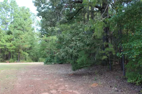 314 Wilderness Trl, Minden, LA 71055 photo 26