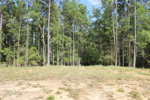 314 Wilderness Trl, Minden, LA 71055 photo 7