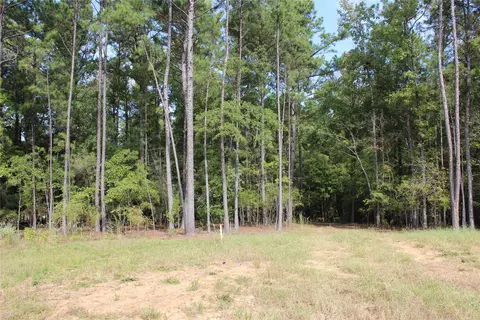 314 Wilderness Trl, Minden, LA 71055 photo 14