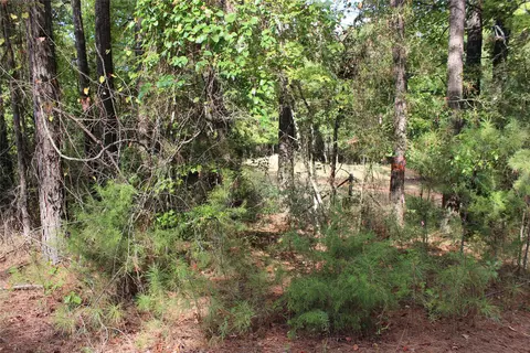 314 Wilderness Trl, Minden, LA 71055 photo 33