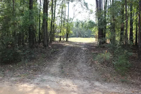 314 Wilderness Trl, Minden, LA 71055 photo 21