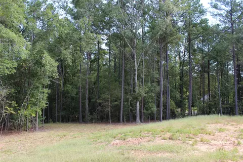 314 Wilderness Trl, Minden, LA 71055 photo 16