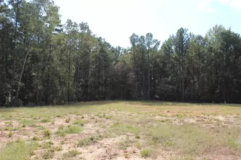 314 Wilderness Trl, Minden, LA 71055 photo 10