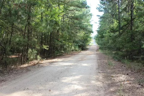 314 Wilderness Trl, Minden, LA 71055 photo 6
