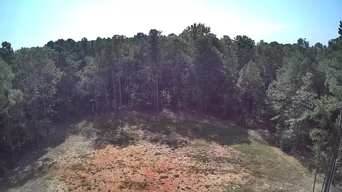 314 Wilderness Trl, Minden, LA 71055 photo 37