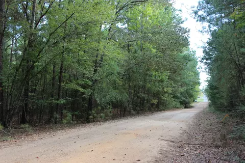 314 Wilderness Trl, Minden, LA 71055 photo 5