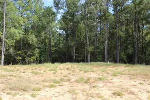 314 Wilderness Trl, Minden, LA 71055 photo 8