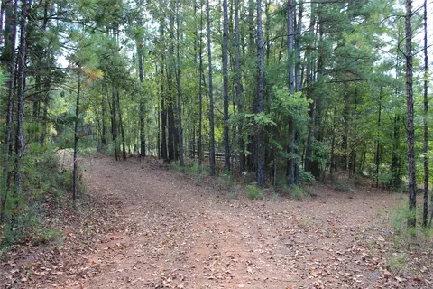 314 Wilderness Trl, Minden, LA 71055 photo 22