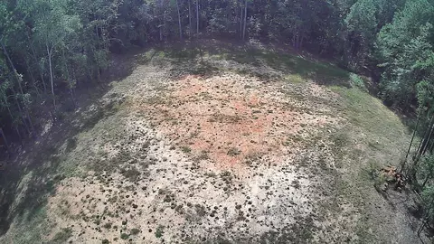 314 Wilderness Trl, Minden, LA 71055 photo 39