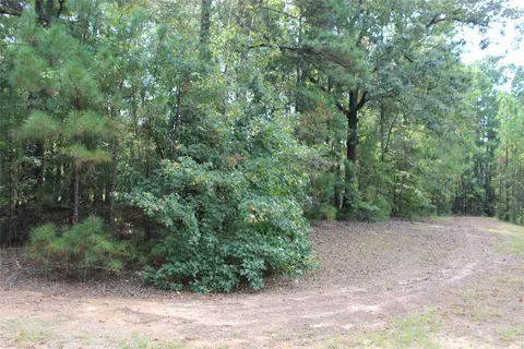 314 Wilderness Trl, Minden, LA 71055 photo 20