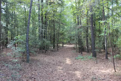 314 Wilderness Trl, Minden, LA 71055 photo 29