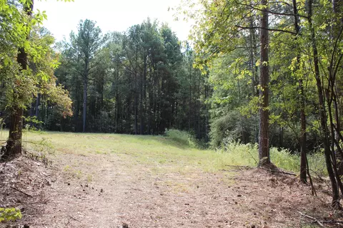 314 Wilderness Trl, Minden, LA 71055 photo 17
