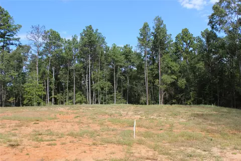 314 Wilderness Trl, Minden, LA 71055 photo 2