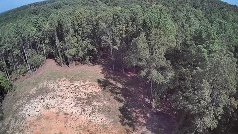 314 Wilderness Trl, Minden, LA 71055 photo 40