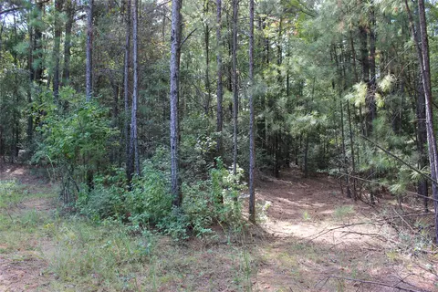 314 Wilderness Trl, Minden, LA 71055 photo 24