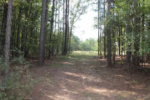 314 Wilderness Trl, Minden, LA 71055 photo 19