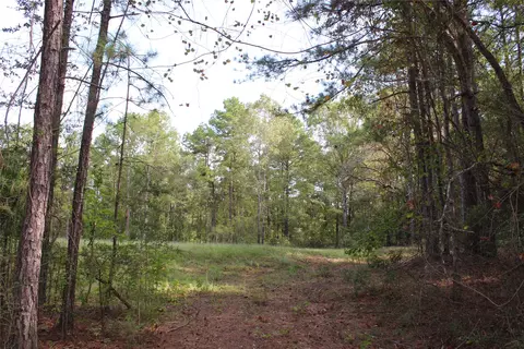 314 Wilderness Trl, Minden, LA 71055 photo 18