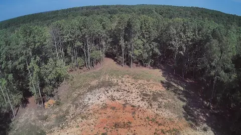 314 Wilderness Trl, Minden, LA 71055 photo 4
