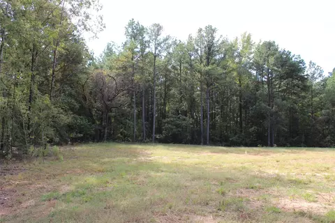 314 Wilderness Trl, Minden, LA 71055 photo 12