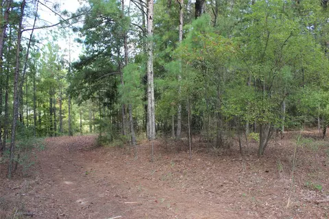314 Wilderness Trl, Minden, LA 71055 photo 27
