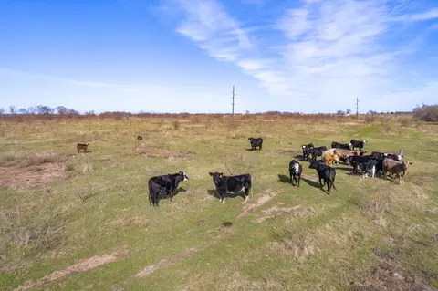tbd Us Hwy 80 66 Acres, Wills Point, TX 75169