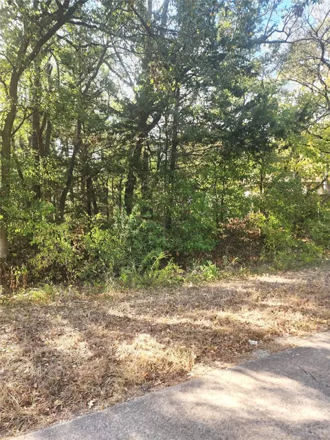 tbd Bois D Arc, Denison, TX 75020