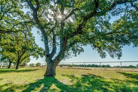 Other - 301 County Road 313, Comanche, TX 76442 photo 11 of 14