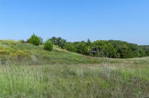110 Pringle Ct, Alvord, TX 76225