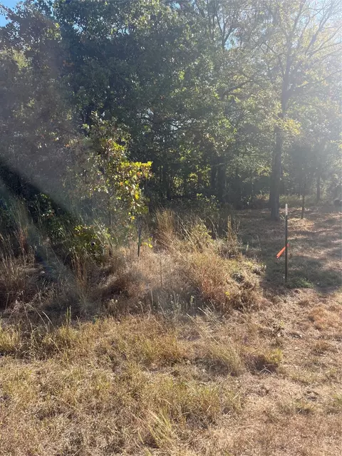 133 Running Deer Rd, Mabank, TX 75156