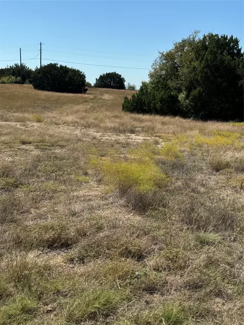 10042 Crestridge Dr, Whitney, TX 76692
