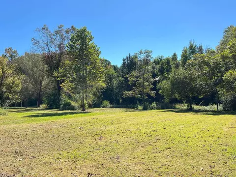 Exterior - 381 Watson St, Doyline, LA 71023 photo 5 of 5