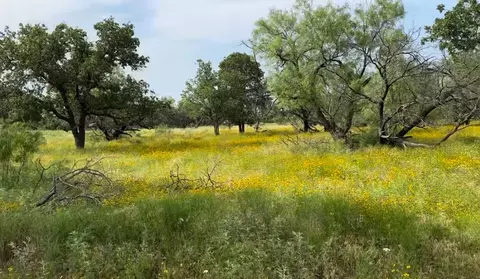 320 Pumphrey Rd #LOT 5, Loving, TX 76460