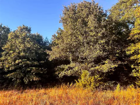 tbd Cr 35100, Sumner, TX 75486 photo 14